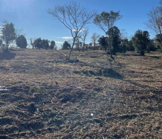 Pozemok na predaj 8800 m² – Bale