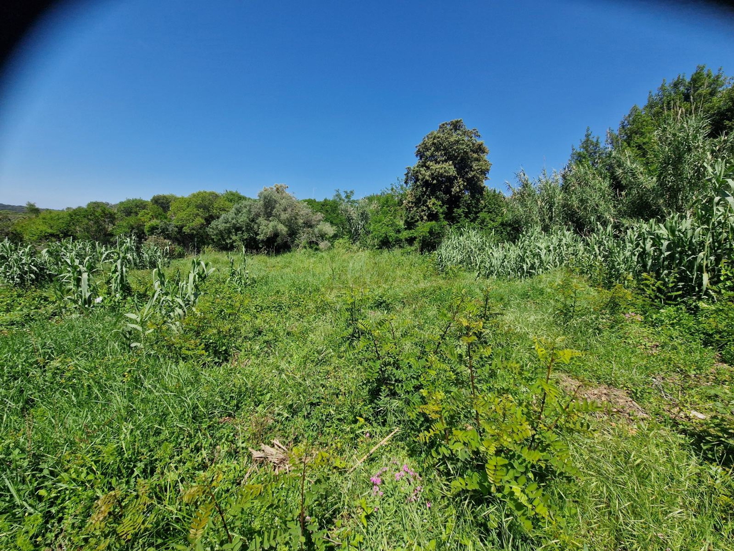 Zemljište Na prodaju -  Vinkuran