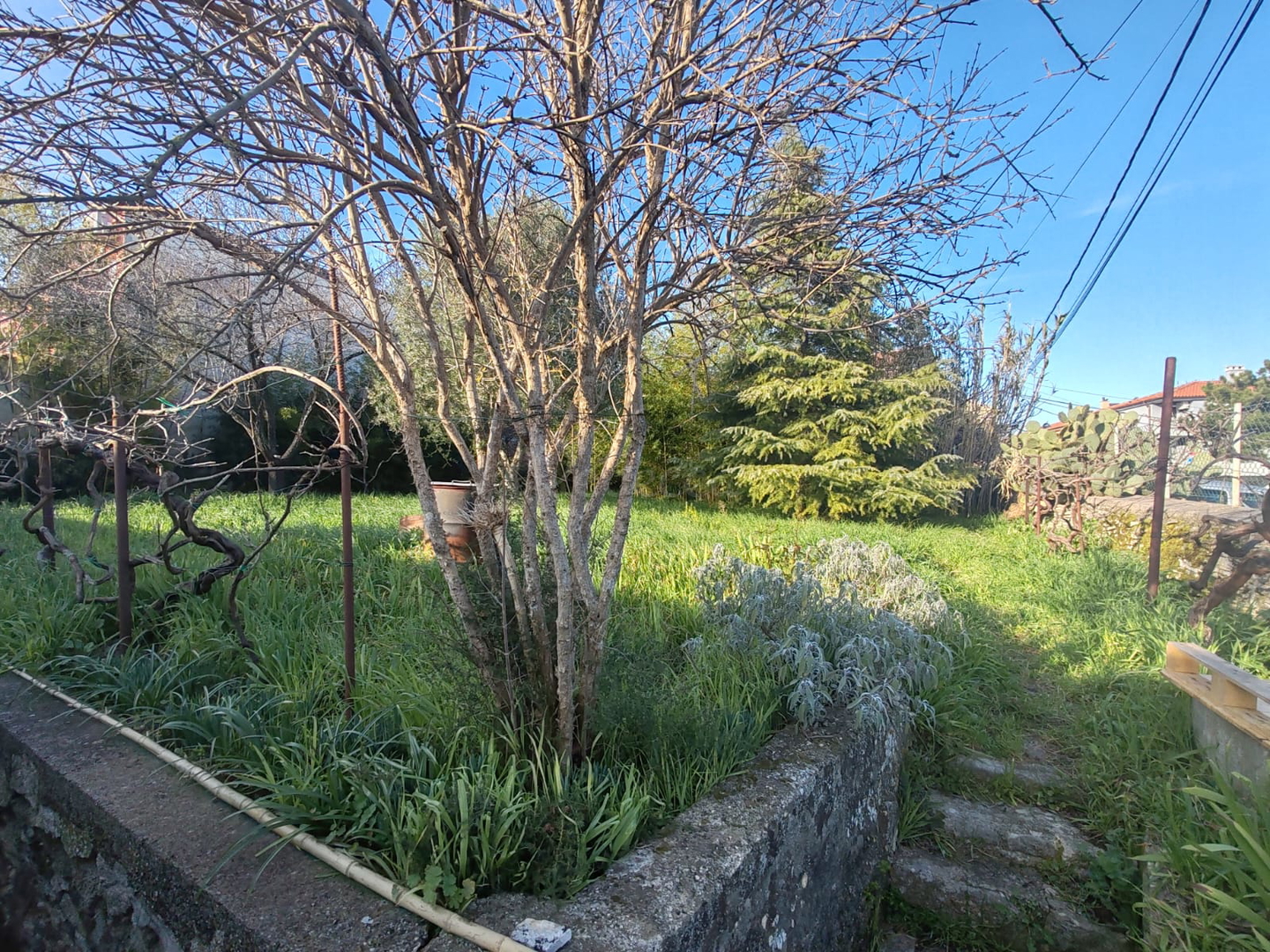 Terreno In vendita - Istarska Šijana