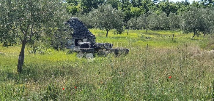 Parcela Naprodaj - Istarska Vodnjan - foto 2/13