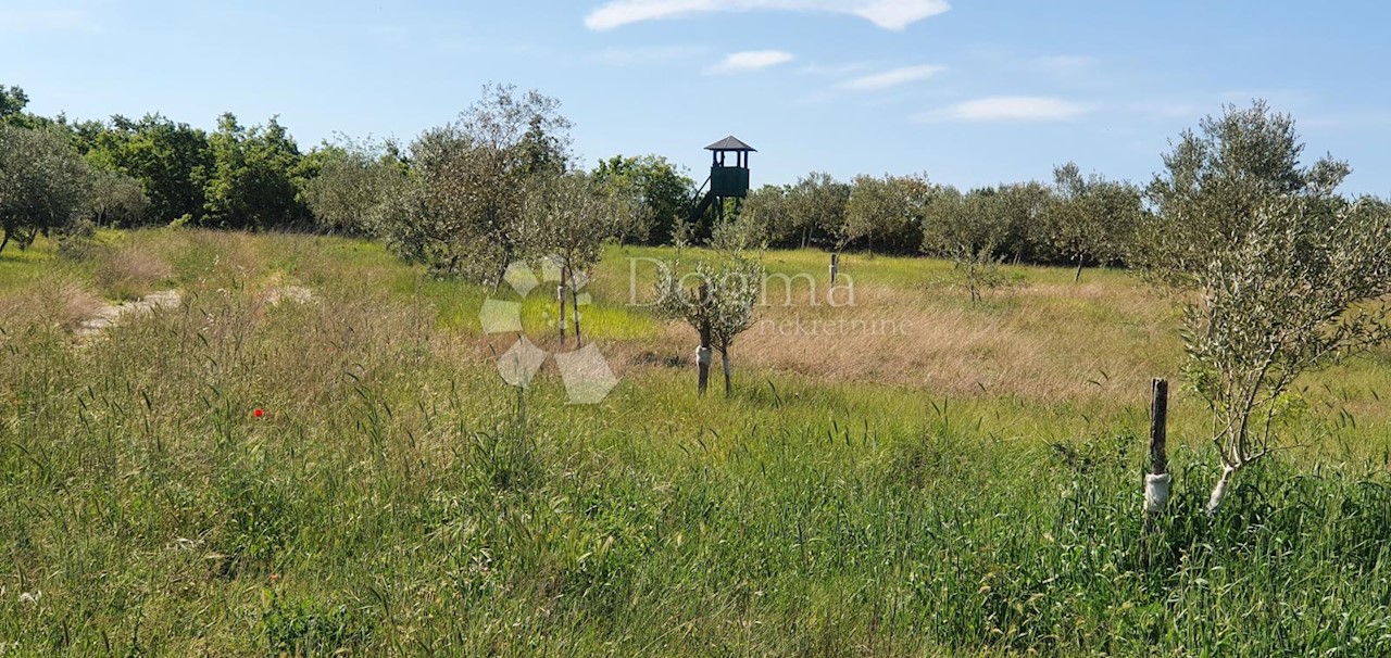 Land For sale - ISTARSKA  VODNJAN 