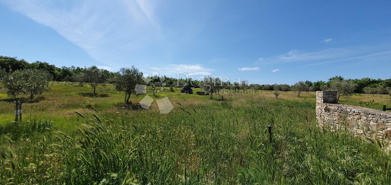 Land For sale - ISTARSKA  VODNJAN 