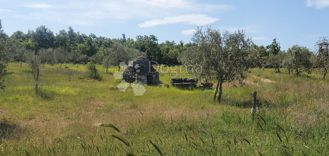 Land For sale - ISTARSKA  VODNJAN 