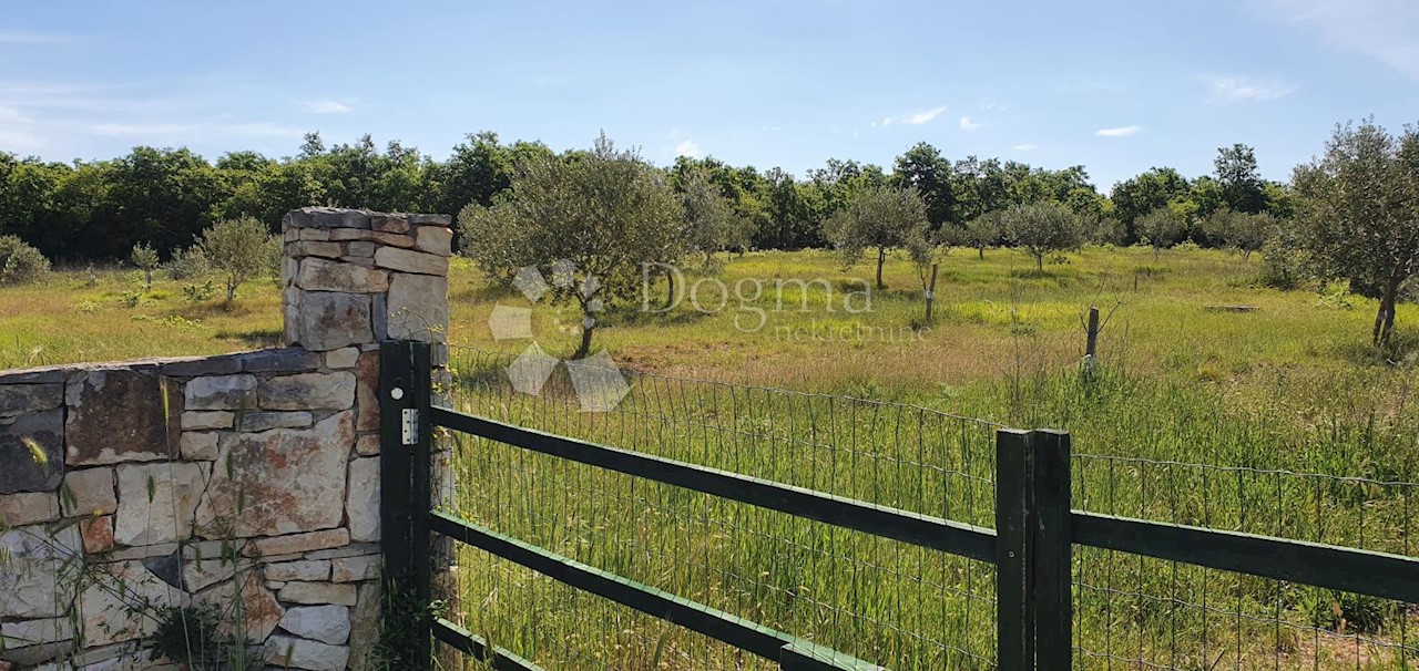 Land For sale - ISTARSKA  VODNJAN 