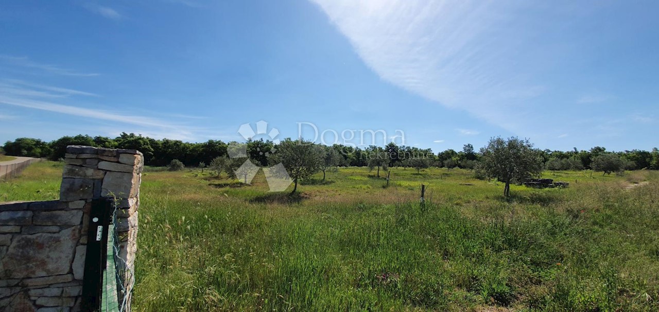 Land For sale - ISTARSKA  VODNJAN 