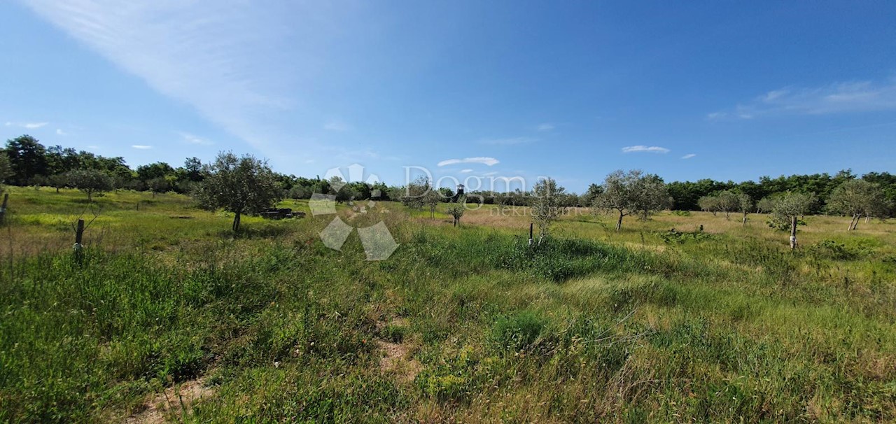 Land For sale - ISTARSKA  VODNJAN 