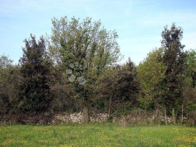 Terreno In vendita - Istarska Ližnjan - foto 3/7