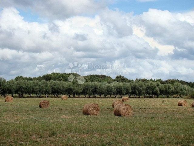 Terreno In vendita - Istarska Ližnjan - foto 4/7