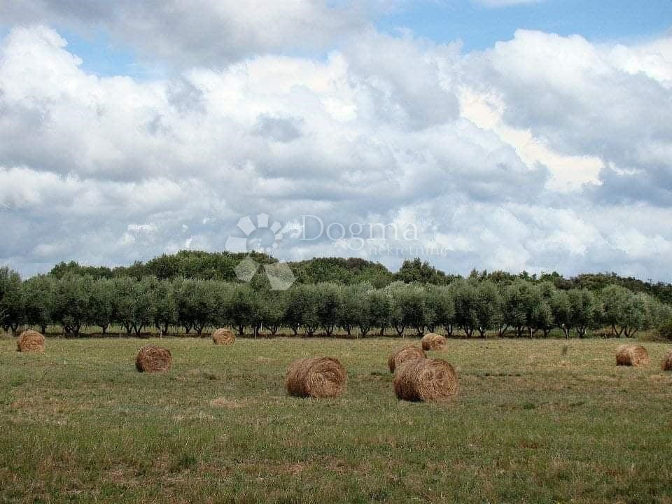 Zemljište Na prodaju - ISTARSKA  LIŽNJAN 