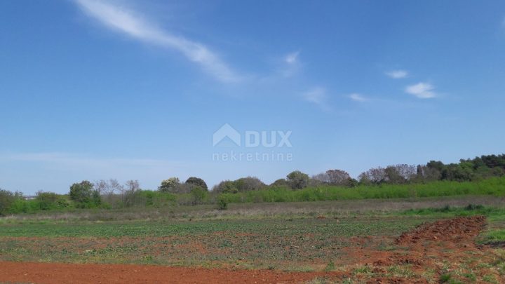 Land for sale 2340 m² – Pula