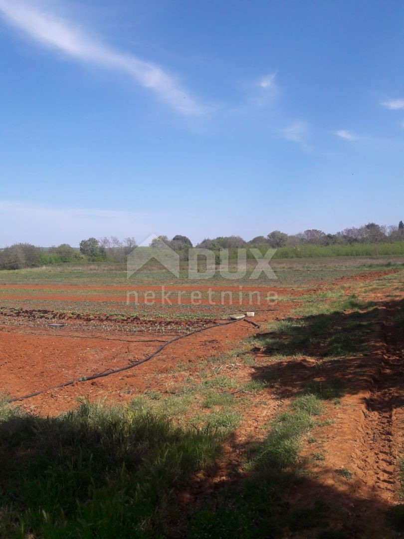 Land For sale - ISTARSKA  PULA 