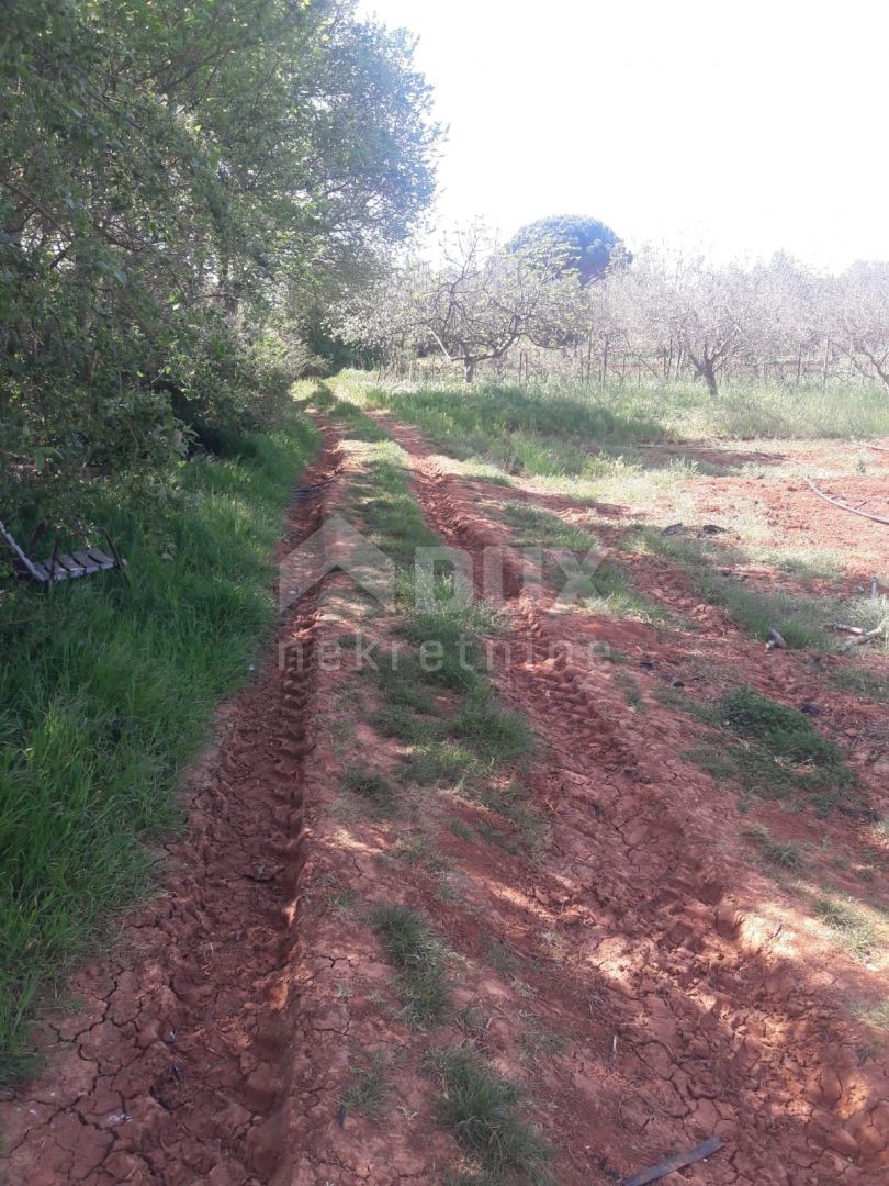 Terreno In vendita - ISTARSKA  PULA 