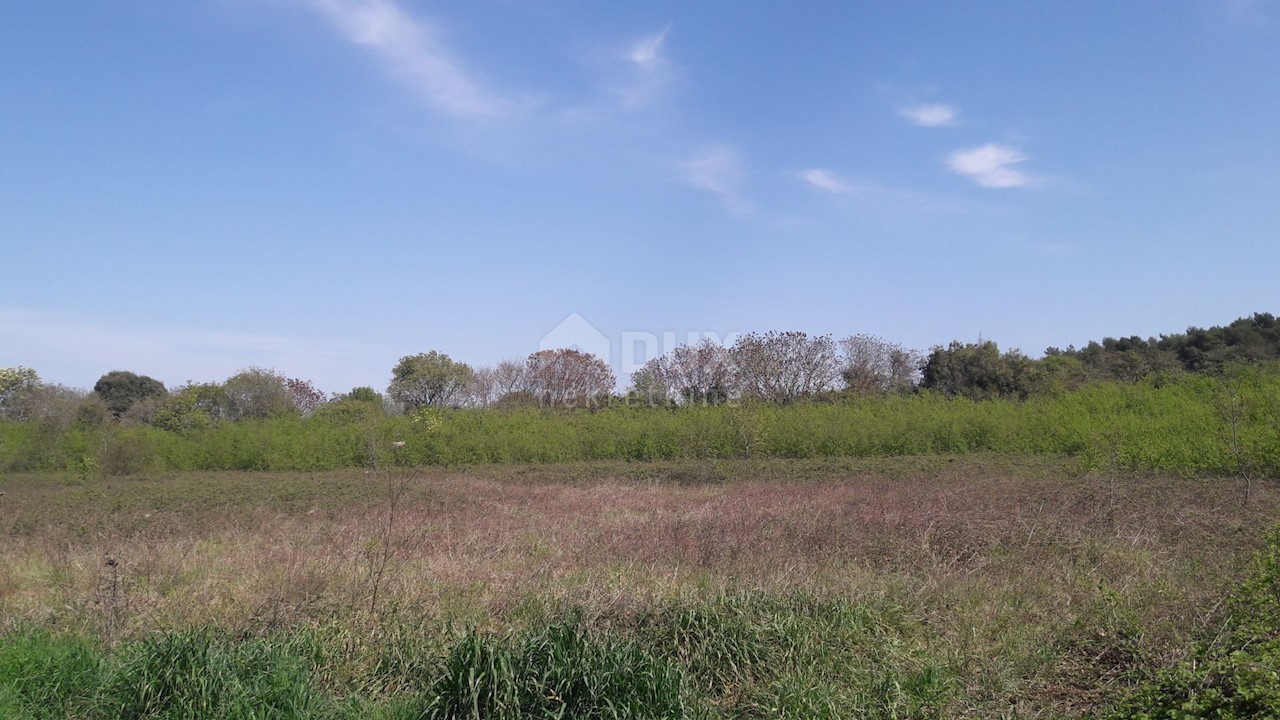 Land For sale - ISTARSKA  PULA 