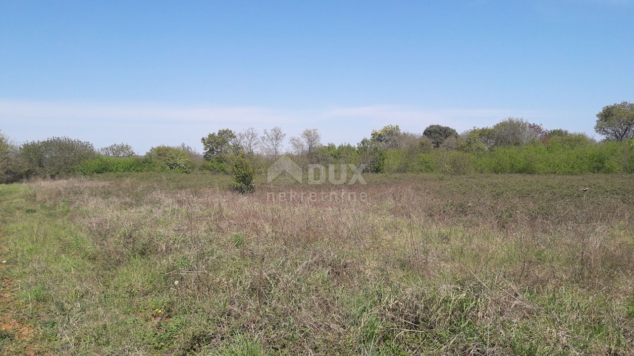 Land For sale - ISTARSKA  PULA 