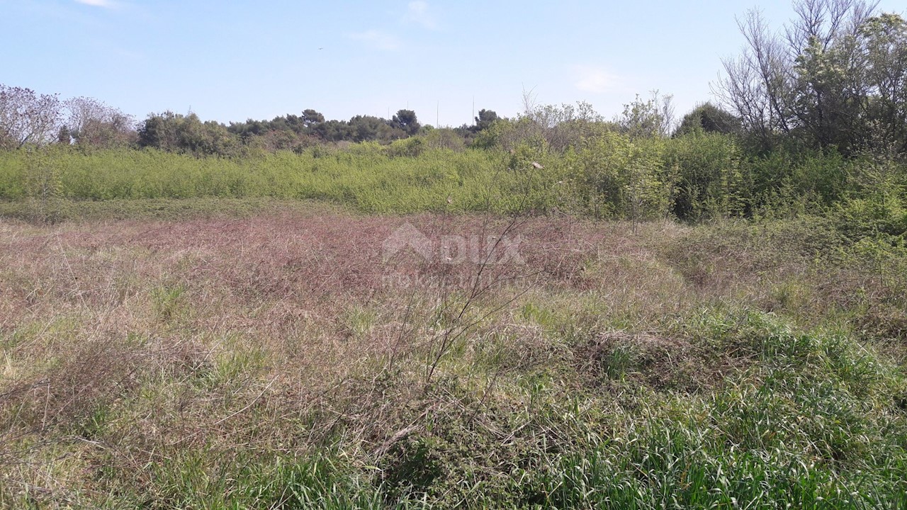 Land For sale - ISTARSKA  PULA 