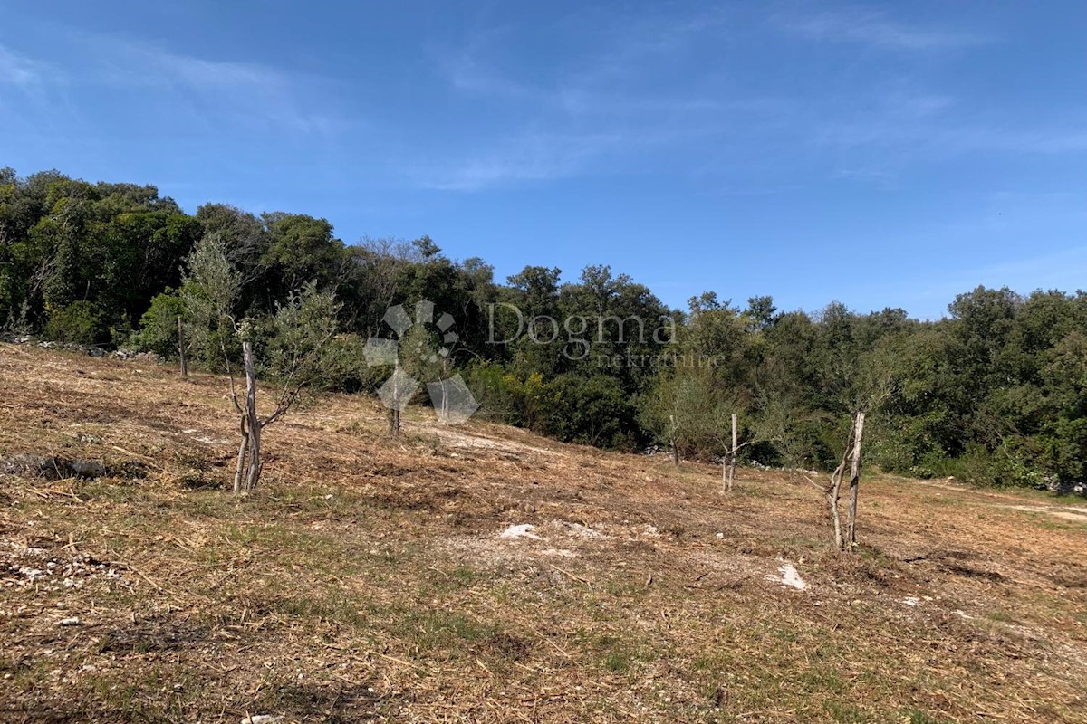 Land For sale - ISTARSKA  Rovinj