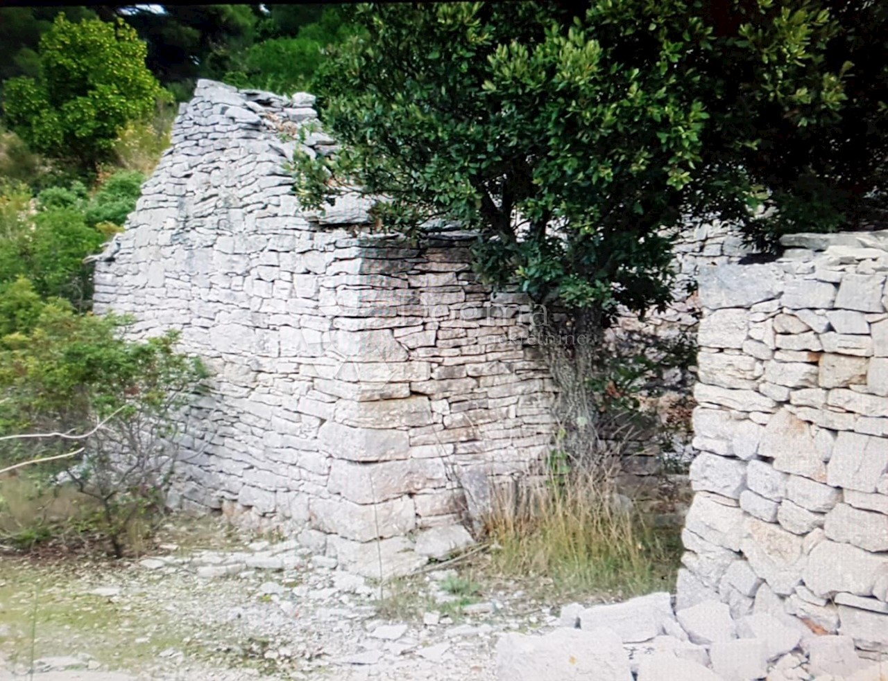 Pozemok Na predaj - SPLITSKO-DALMATINSKA  VIS 