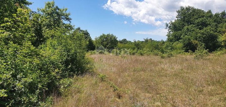 Grundstück Zu verkaufen - Istarska Svetvinčenat - foto 3/27