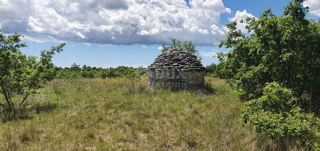 Terreno In vendita - ISTARSKA  SVETVINČENAT 