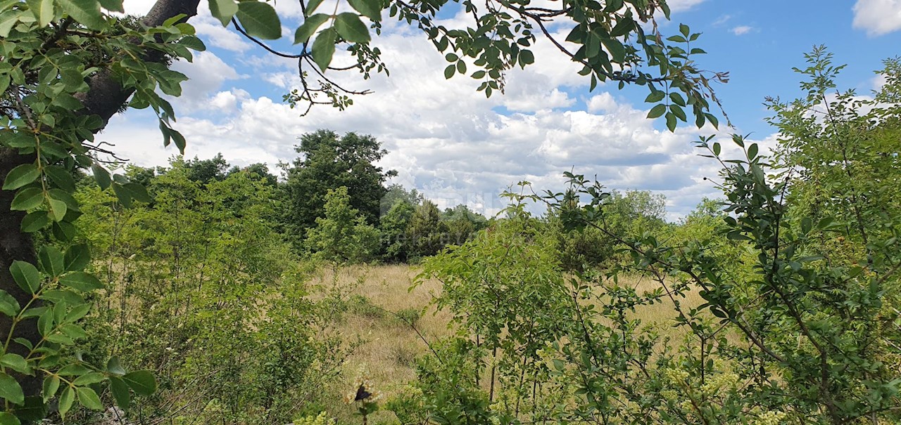 Terreno In vendita - ISTARSKA  SVETVINČENAT 