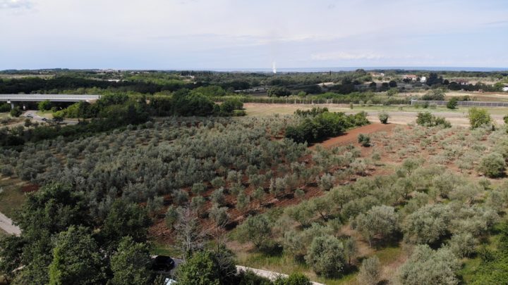 Parcela Naprodaj - Istarska Buje - foto 4/4