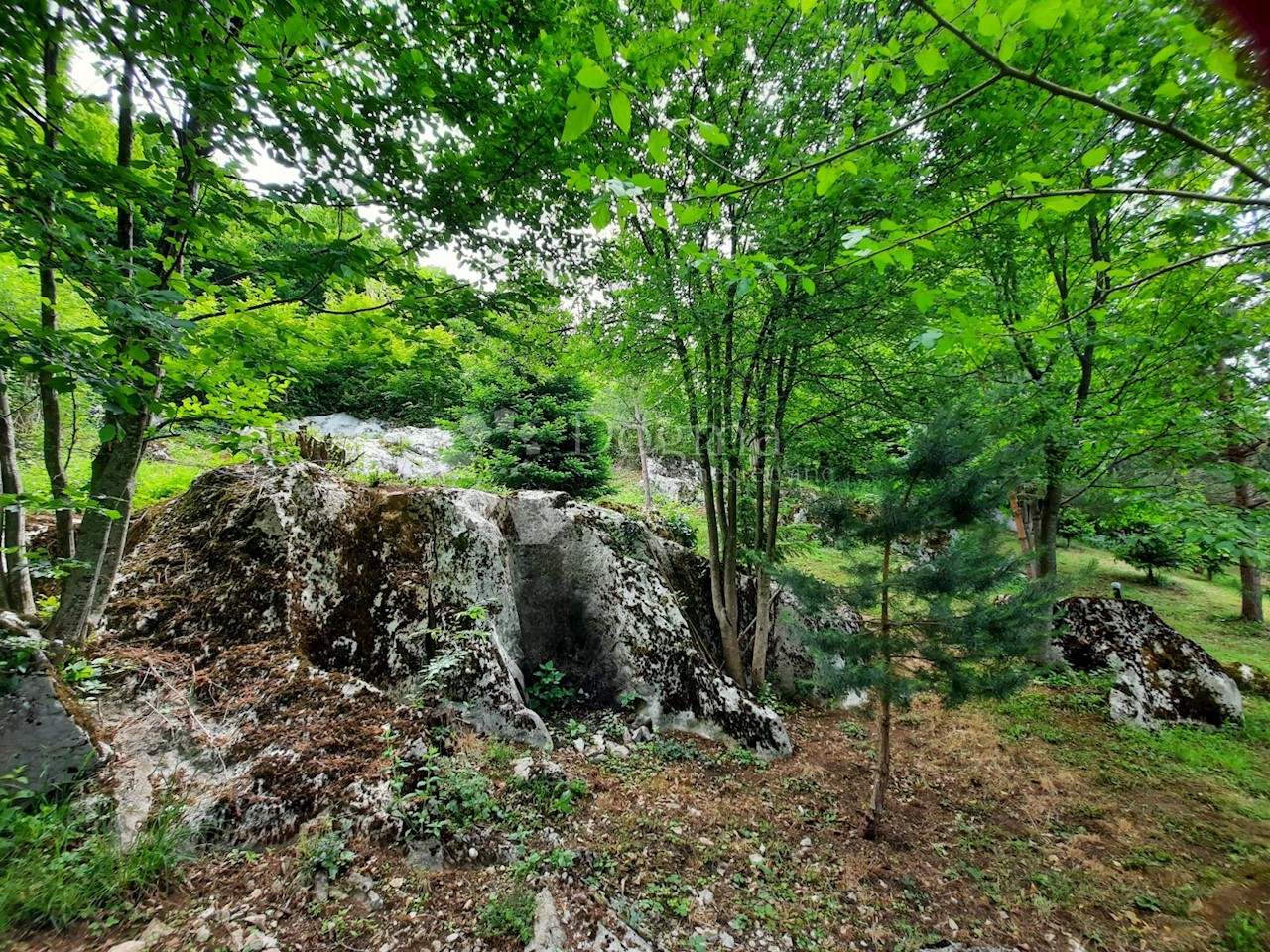 Casa In vendita - LIČKO-SENJSKA  OTOČAC 