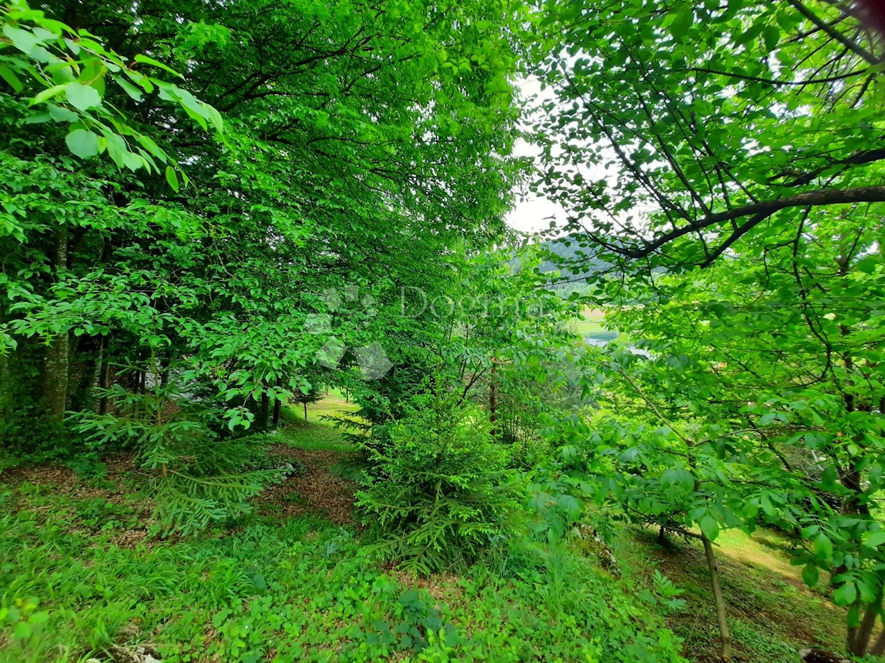 Haus Zu verkaufen - LIČKO-SENJSKA  OTOČAC 