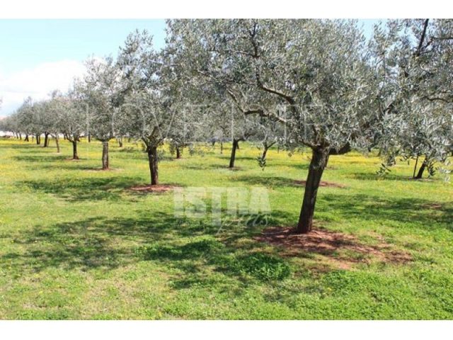 Działka na sprzedaż 7628 m² – Poreč