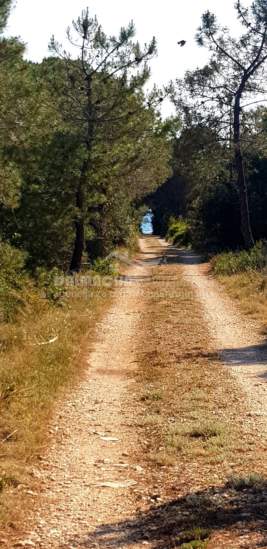 Terreno In vendita - ZADARSKA  VIR 