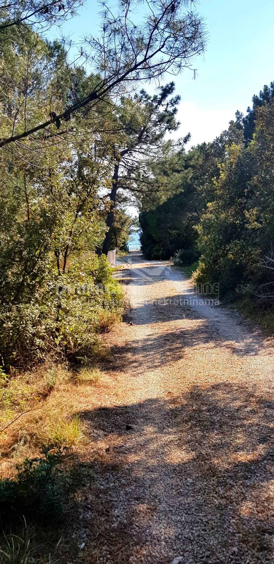 Terreno In vendita - ZADARSKA  VIR 