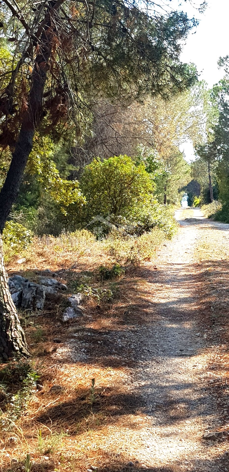 Terreno In vendita - ZADARSKA  VIR 