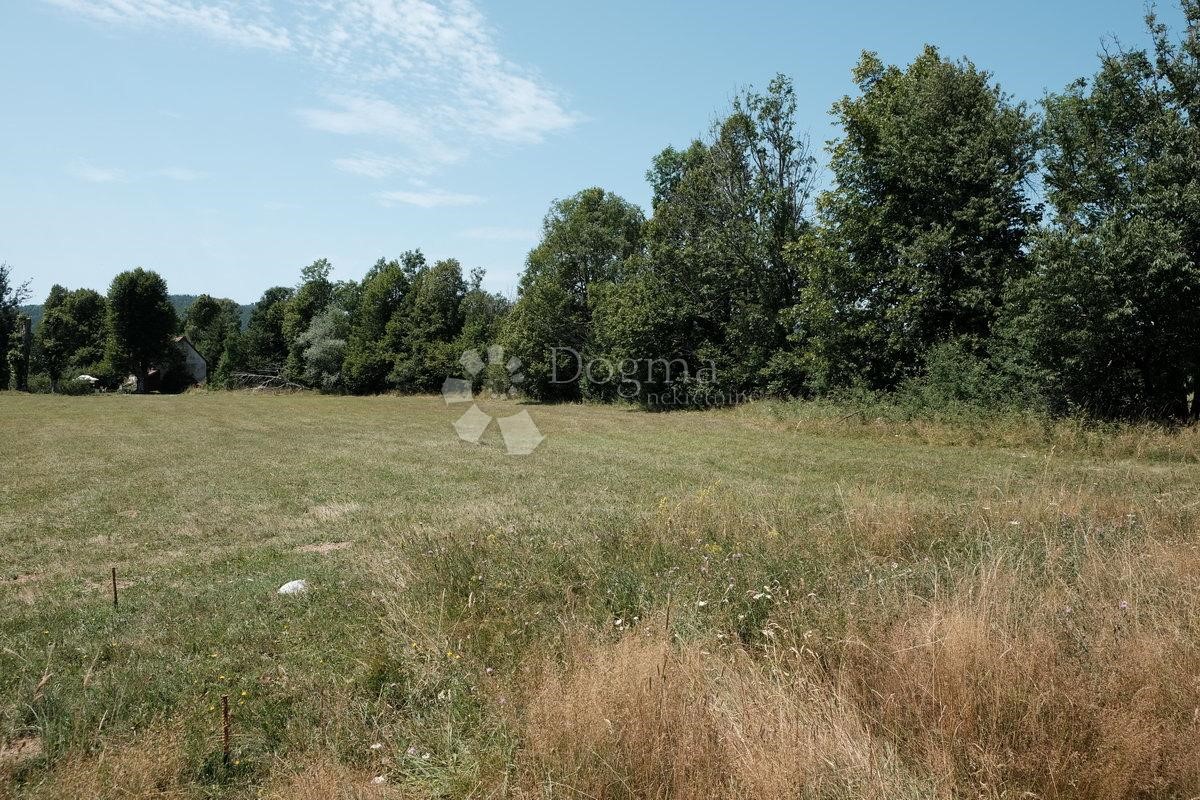 Land For sale - PRIMORSKO-GORANSKA  FUŽINE 