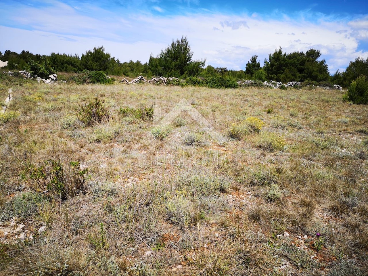Land For sale - Zadarska Vir - foto 2/9