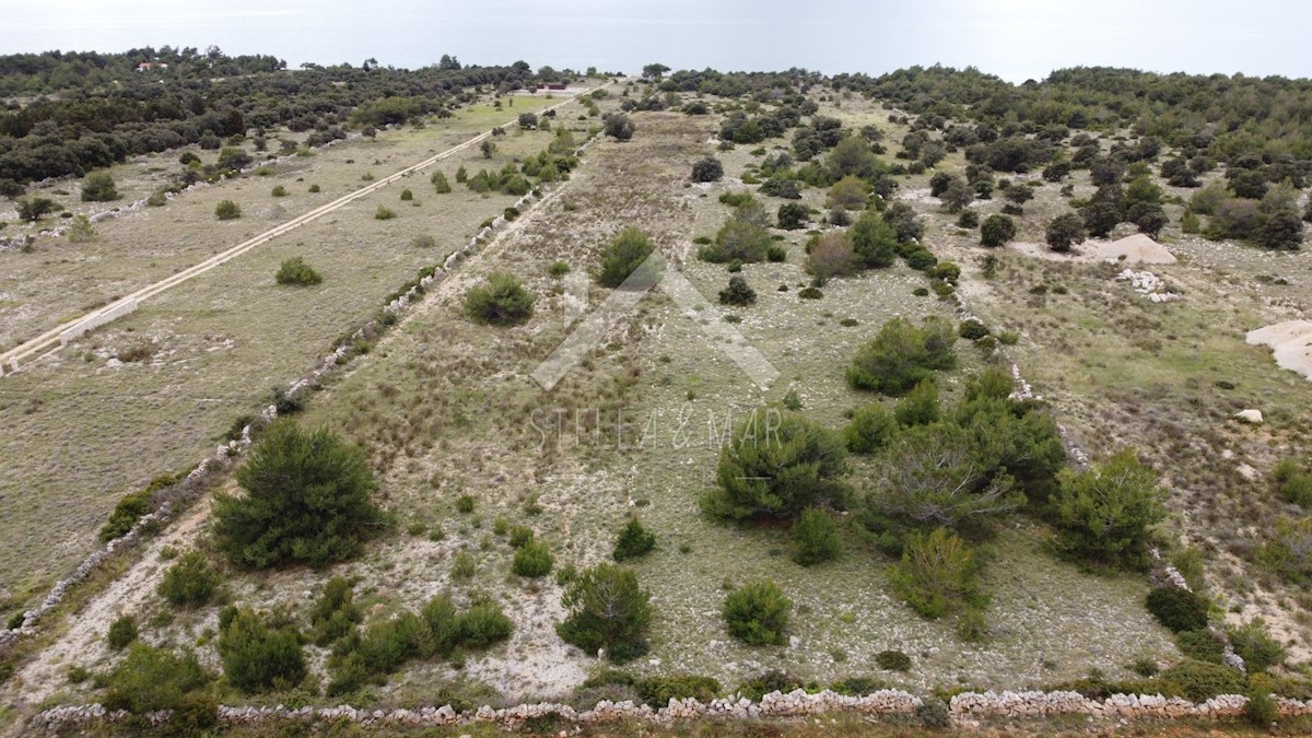 Land For sale - ZADARSKA  VIR 
