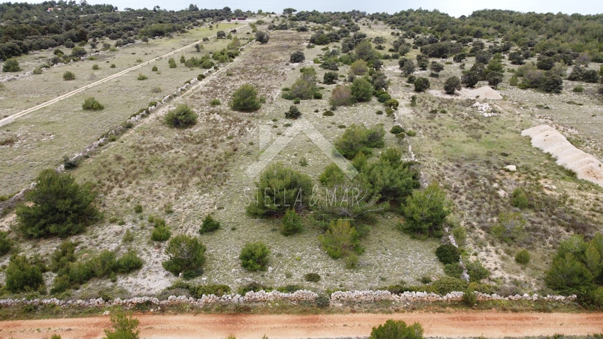 Land For sale - ZADARSKA  VIR 