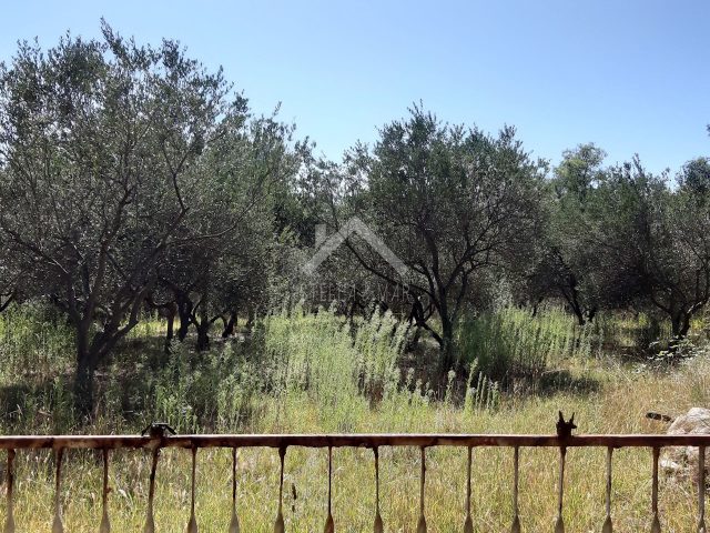 Land for sale 1302 m² – Vir