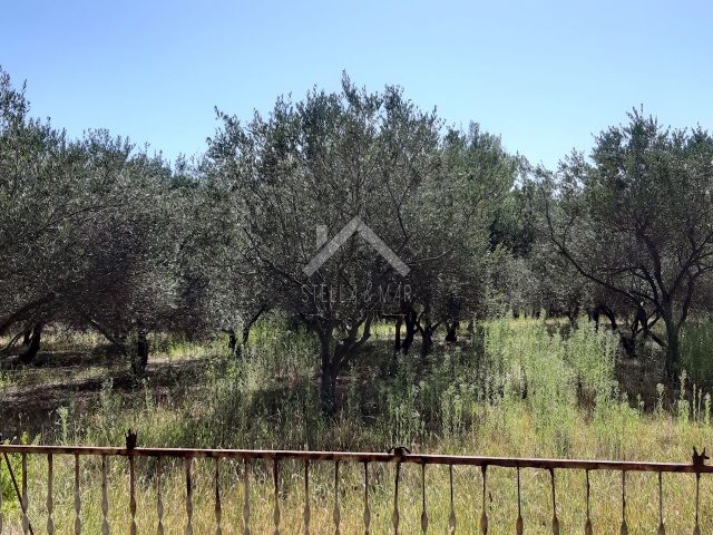 Terrain À vendre - Zadarska Vir - foto 2/5