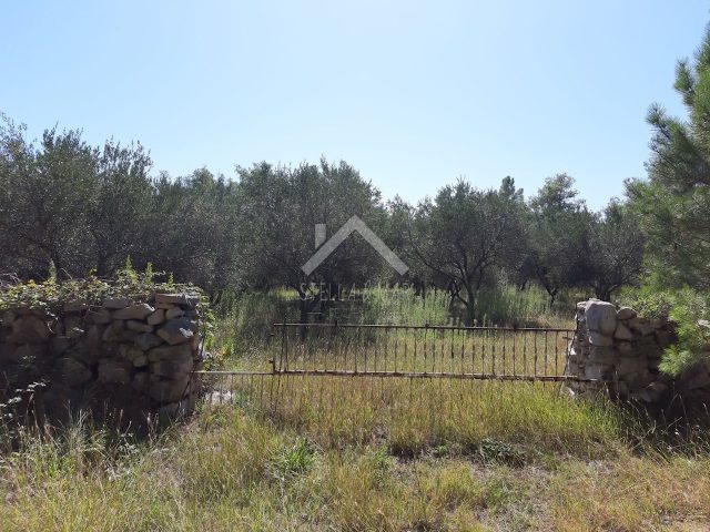 Terrain À vendre - Zadarska Vir - foto 3/5