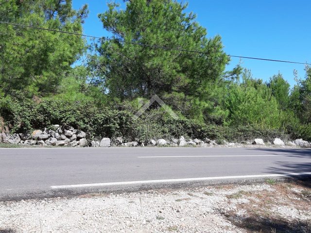 Terrain À vendre - Zadarska Vir - foto 4/5