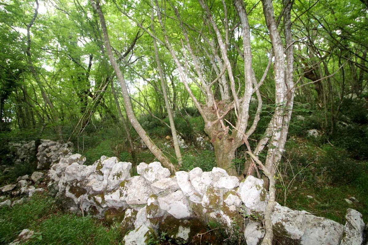 Parcela Naprodaj - PRIMORSKO-GORANSKA  Krk