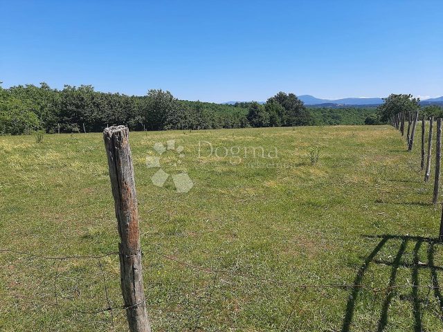 Terrain à vendre 8304 m² – Barban