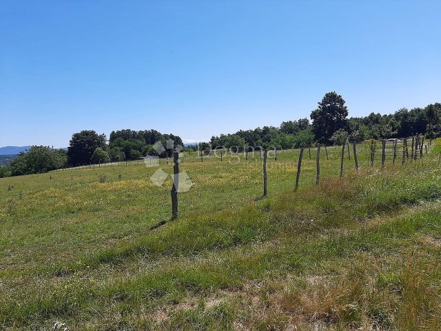 Pozemek Na prodej - Istarska Barban - foto 3/9