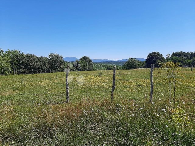Pozemek Na prodej - Istarska Barban - foto 4/9