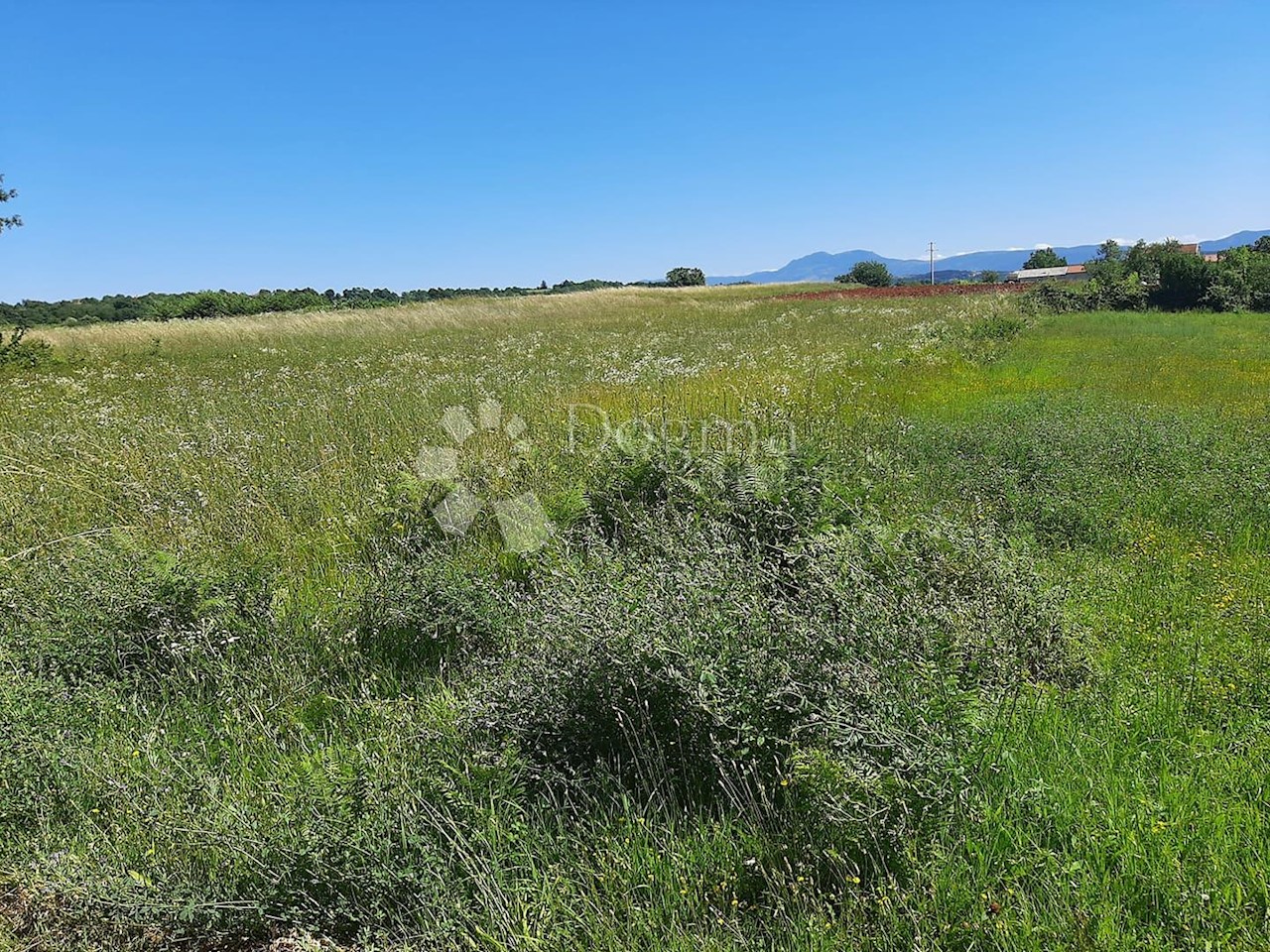 Terrain À vendre - Istarska Barban - foto 2/2