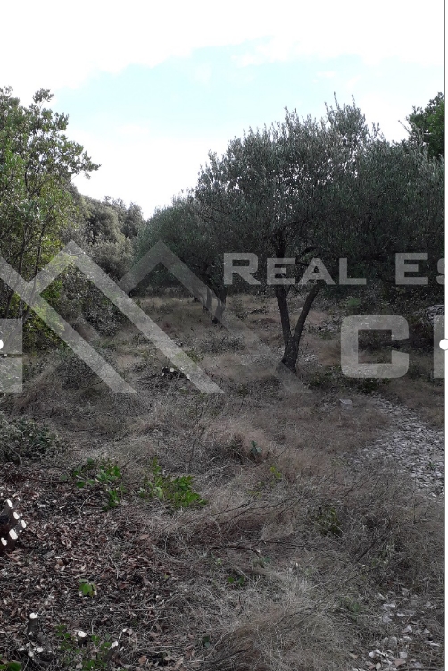 Land For sale - SPLITSKO-DALMATINSKA  BRAČ 