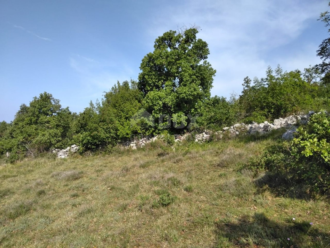 Land For sale - ISTARSKA  VIŠNJAN 