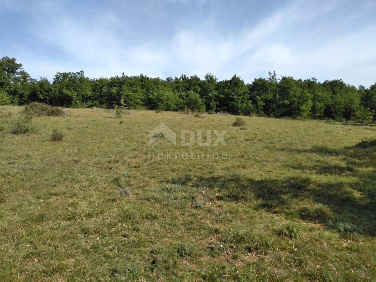 Land For sale - ISTARSKA  VIŠNJAN 