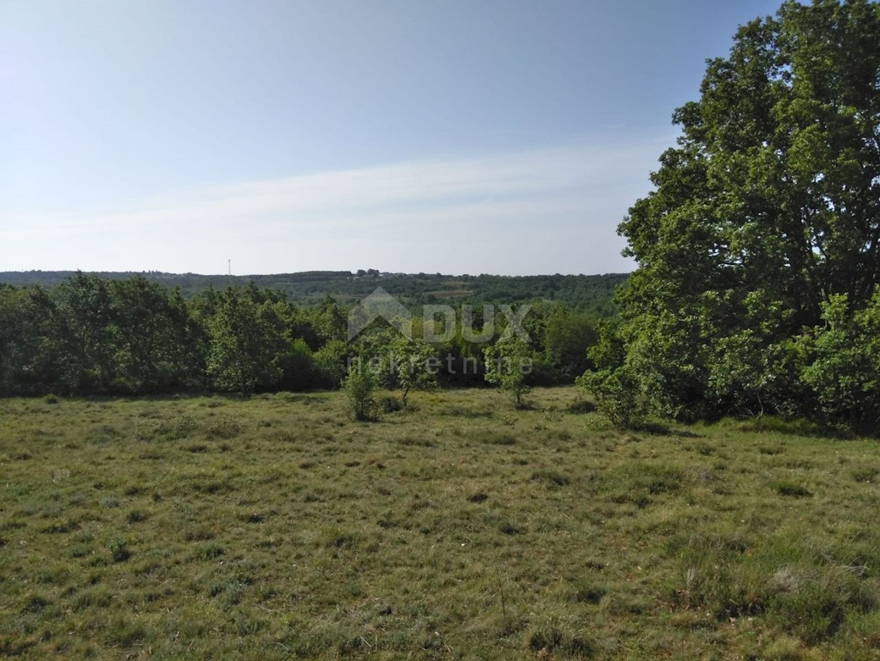 Land For sale - ISTARSKA  VIŠNJAN 