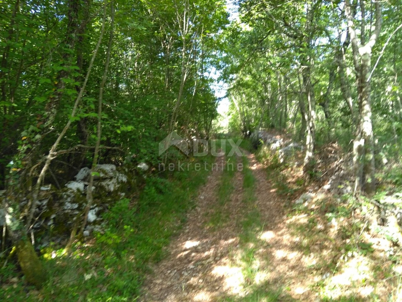 Land For sale - ISTARSKA  VIŠNJAN 