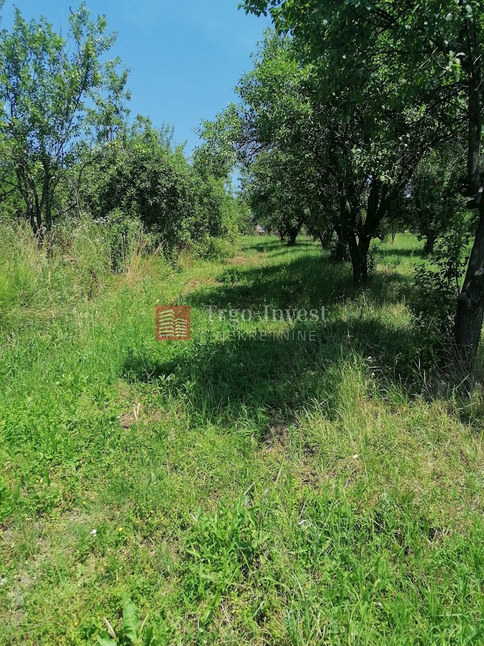 Land For sale - BRODSKO-POSAVSKA  SLAVONSKI BROD 